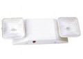 Emergency Lighting Unit w/Remote Capacity